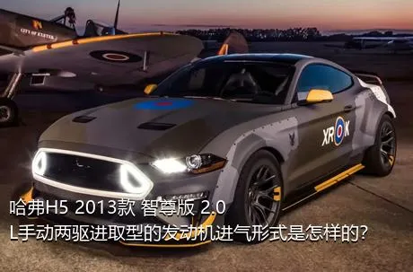哈弗H5 2013款 智尊版 2.0L手动两驱进取型的发动机进气形式是怎样的？
