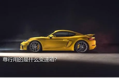 尊行用的是什么变速箱？