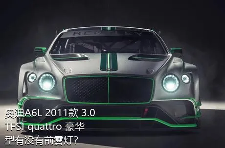 奥迪A6L 2011款 3.0 TFSI quattro 豪华型有没有前雾灯？
