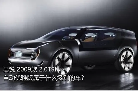 昊锐 2009款 2.0TSI 自动优雅版属于什么级别的车？