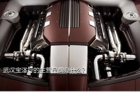 武汉宝泽行的主营品牌是什么？