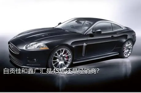 自贡佳和鑫广汇是4S店还是经销商？