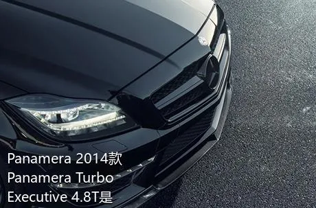 Panamera 2014款 Panamera Turbo Executive 4.8T是哪一年上市的？