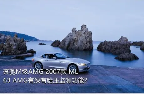 奔驰M级AMG 2007款 ML 63 AMG有没有胎压监测功能？