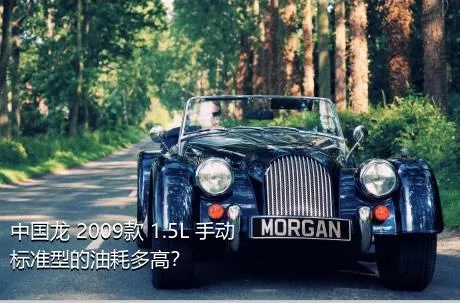中国龙 2009款 1.5L 手动标准型的油耗多高？