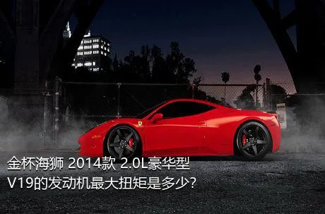 金杯海狮 2014款 2.0L豪华型V19的发动机最大扭矩是多少？