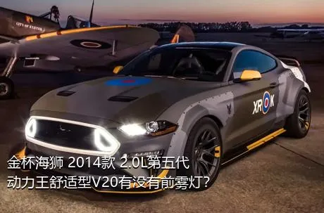 金杯海狮 2014款 2.0L第五代动力王舒适型V20有没有前雾灯？