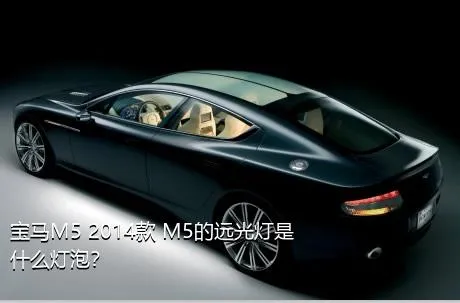宝马M5 2014款 M5的远光灯是什么灯泡？