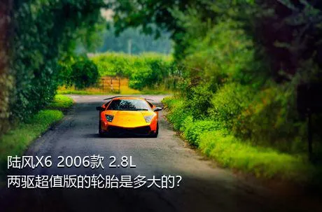 陆风X6 2006款 2.8L 两驱超值版的轮胎是多大的？