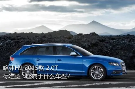 哈弗H9 2015款 2.0T 标准型 5座属于什么车型？