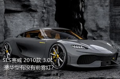 SLS赛威 2010款 3.0L 豪华型有没有前雾灯？