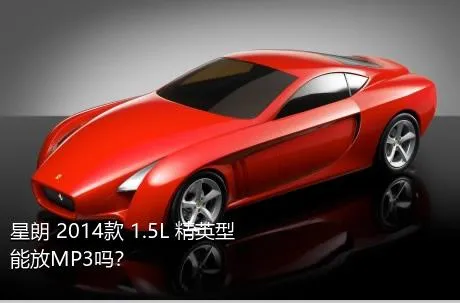 星朗 2014款 1.5L 精英型能放MP3吗？
