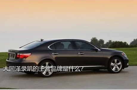 大同泽录凯的主营品牌是什么？