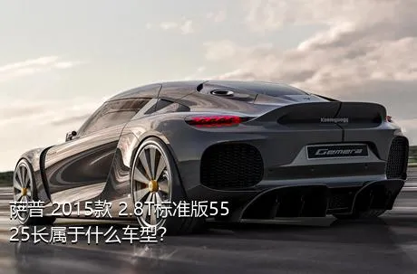萨普 2015款 2.8T标准版5525长属于什么车型？