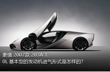 豪情 2007款 203A 1.0L 基本型的发动机进气形式是怎样的？