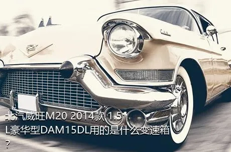 北汽威旺M20 2014款 1.5L豪华型DAM15DL用的是什么变速箱？