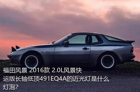 福田风景 2016款 2.0L风景快运版长轴低顶491EQ4A的近光灯是什么灯泡？