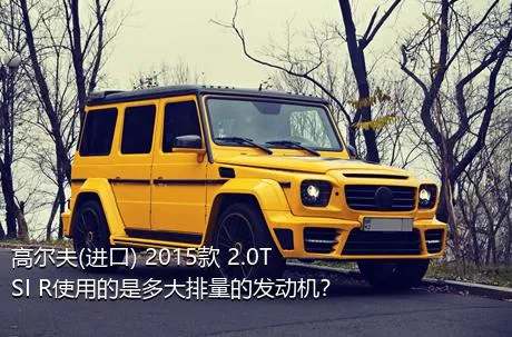 高尔夫(进口) 2015款 2.0TSI R使用的是多大排量的发动机？