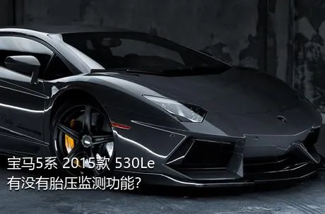 宝马5系 2015款 530Le有没有胎压监测功能？