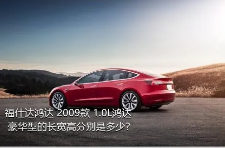 福仕达鸿达 2009款 1.0L鸿达 豪华型的长宽高分别是多少？