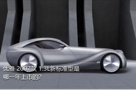 优雅 2007款 1.3L新标准型是哪一年上市的？