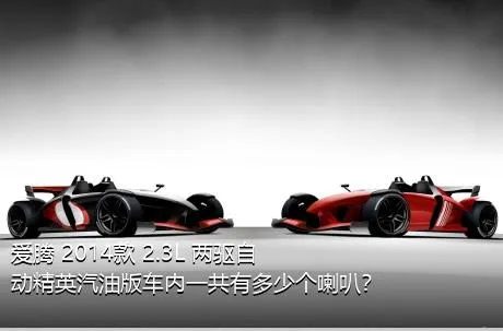 爱腾 2014款 2.3L 两驱自动精英汽油版车内一共有多少个喇叭？