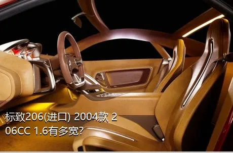 标致206(进口) 2004款 206CC 1.6有多宽？