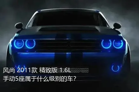 风尚 2011款 精致版 1.6L 手动5座属于什么级别的车？