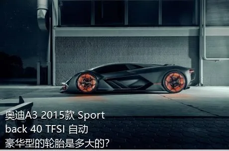 奥迪A3 2015款 Sportback 40 TFSI 自动豪华型的轮胎是多大的？