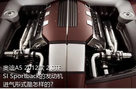 奥迪A5 2012款 2.0TFSI Sportback的发动机进气形式是怎样的？