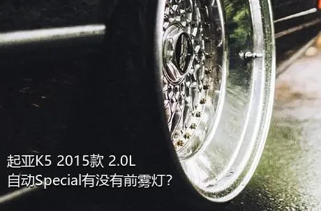 起亚K5 2015款 2.0L 自动Special有没有前雾灯？