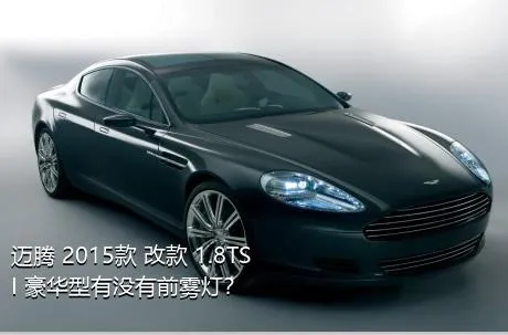 迈腾 2015款 改款 1.8TSI 豪华型有没有前雾灯？