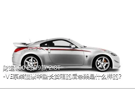 财运100 2009款 2.8T-VE泵柴油豪华型长货箱的后悬架是什么样的？