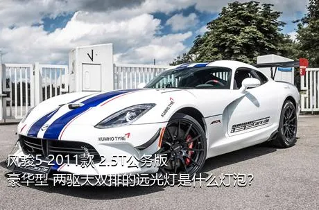 风骏5 2011款 2.5T公务版 豪华型 两驱大双排的远光灯是什么灯泡？