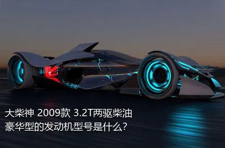 大柴神 2009款 3.2T两驱柴油豪华型的发动机型号是什么？