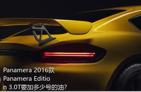 Panamera 2016款 Panamera Edition 3.0T要加多少号的油？