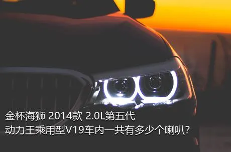 金杯海狮 2014款 2.0L第五代动力王乘用型V19车内一共有多少个喇叭？