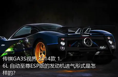 传祺GA3S视界 2014款 1.6L 自动至尊ESP版的发动机进气形式是怎样的？