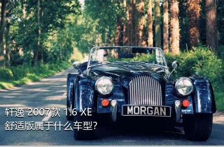 轩逸 2007款 1.6 XE 舒适版属于什么车型？