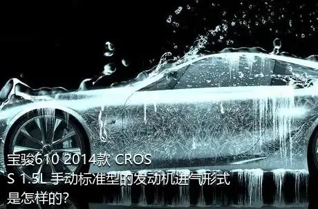 宝骏610 2014款 CROSS 1.5L 手动标准型的发动机进气形式是怎样的？