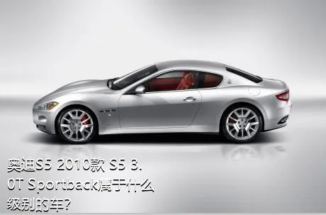 奥迪S5 2010款 S5 3.0T Sportback属于什么级别的车？