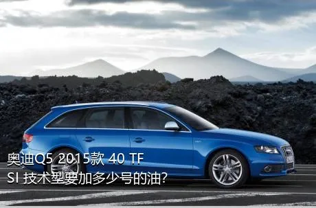 奥迪Q5 2015款 40 TFSI 技术型要加多少号的油？