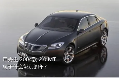 甲壳虫 2004款 2.0 MT属于什么级别的车？