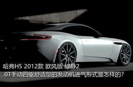 哈弗H5 2012款 欧风版 绿静2.0T手动四驱舒适型的发动机进气形式是怎样的？