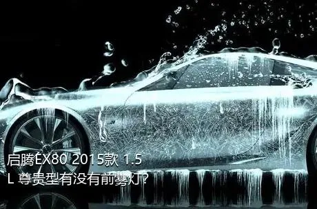 启腾EX80 2015款 1.5L 尊贵型有没有前雾灯？
