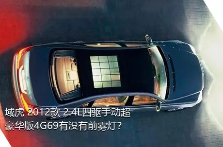 域虎 2012款 2.4L四驱手动超豪华版4G69有没有前雾灯？
