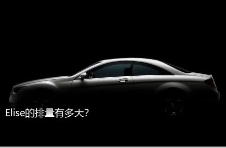 Elise的排量有多大？