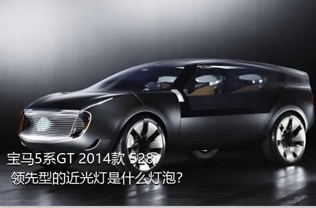 宝马5系GT 2014款 528i 领先型的近光灯是什么灯泡？