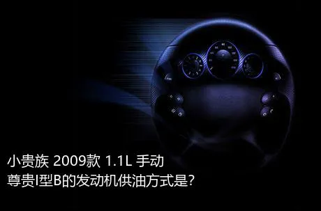 小贵族 2009款 1.1L 手动尊贵I型B的发动机供油方式是？