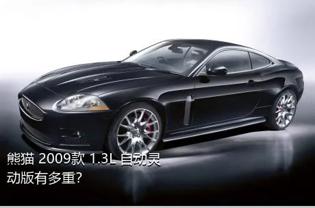熊猫 2009款 1.3L 自动灵动版有多重？